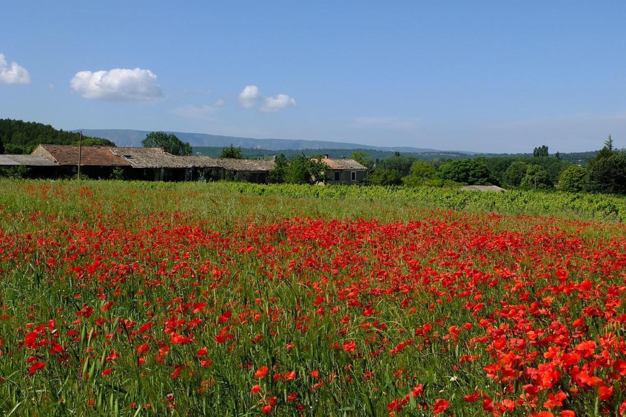 Bed and Breakfast Li Poulidetto Lioux Esterno foto